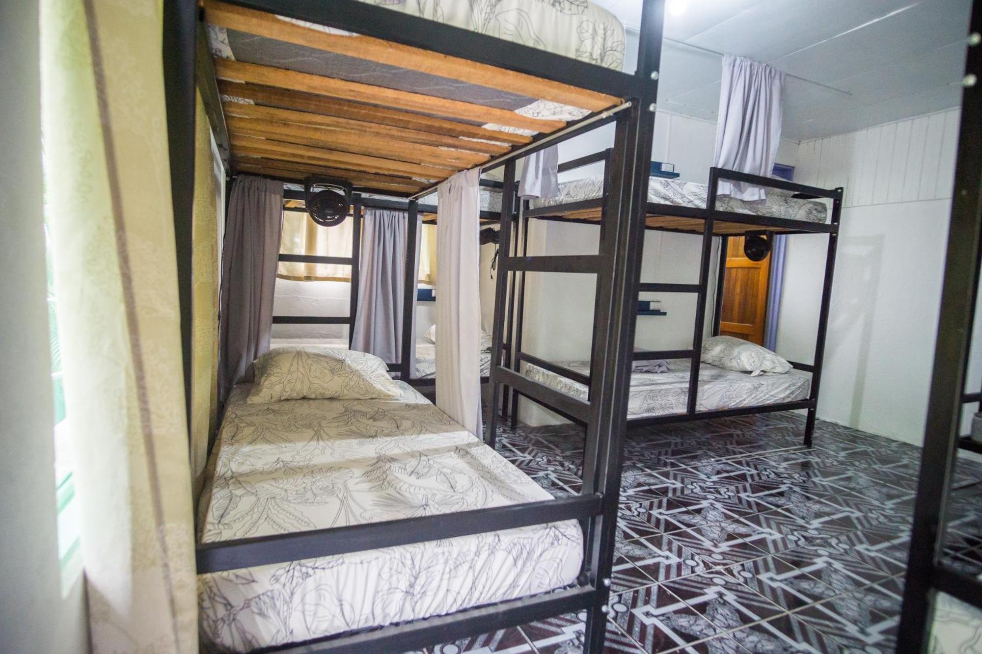 Pura Vibra Hostel La Fortuna Стая снимка